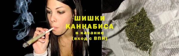 спайс Арсеньев